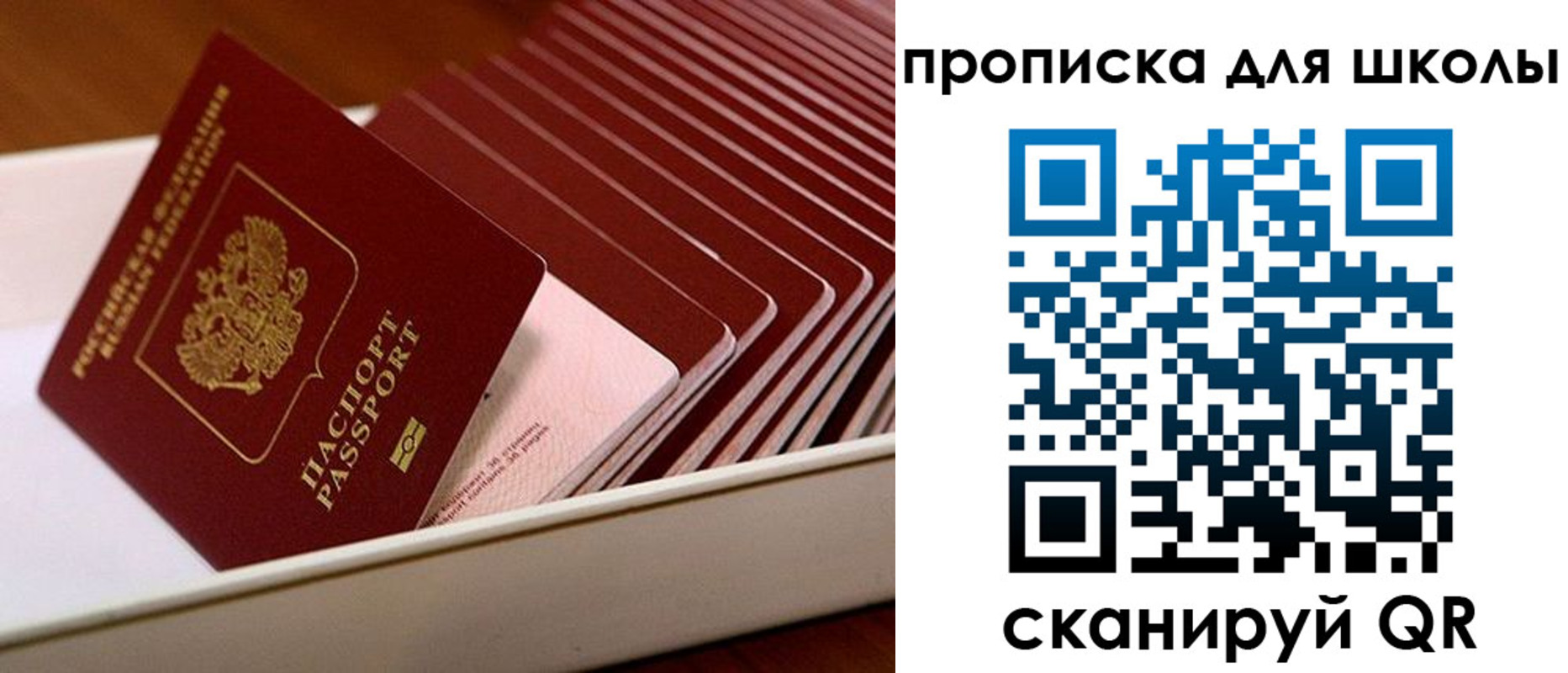 временная регистрация гарантия в Ингушетии
